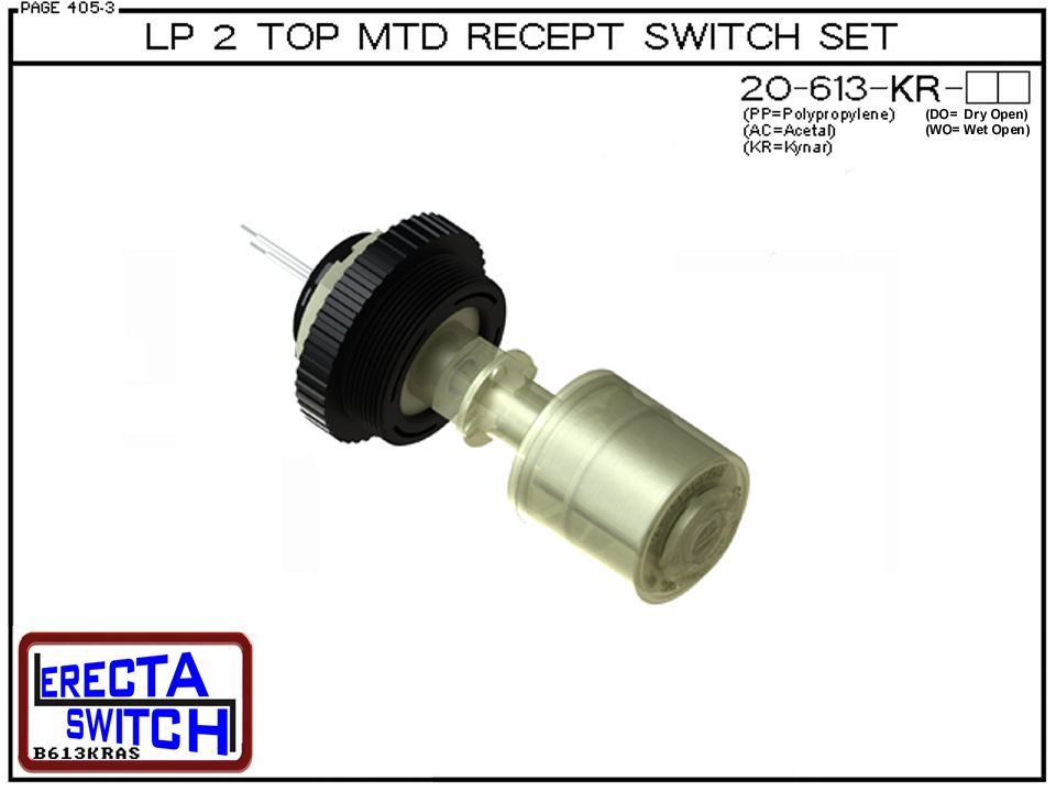20-613-WO-KR Liquid Level Switch - Image 2